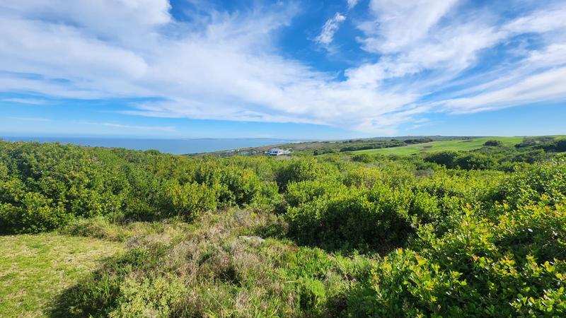 To Let 4 Bedroom Property for Rent in Pinnacle Point Golf Estate Western Cape